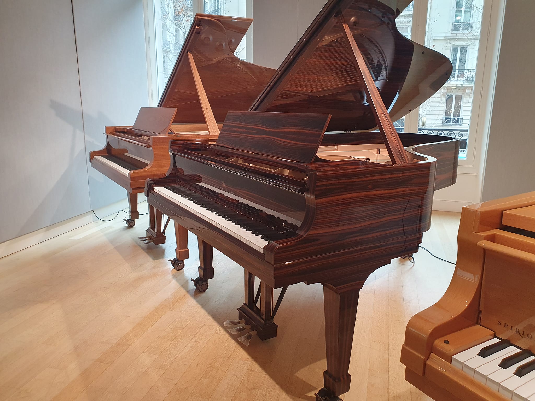 SteinwayD274 (2023) 3